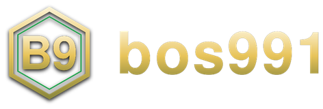 bos991 logo